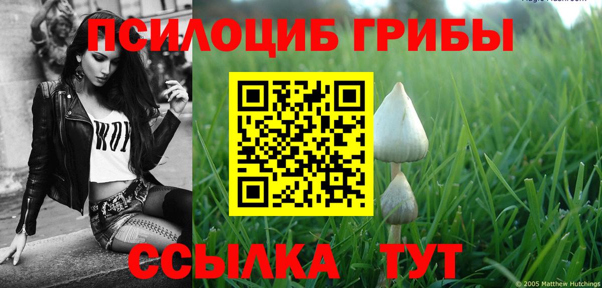 Псилоцибиновые грибы GOLDEN TEACHER Кашира
